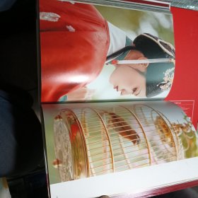 一梦山河宴 机智的党妹写真集