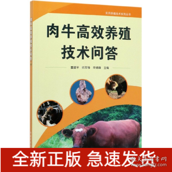 肉牛高效养殖技术问答