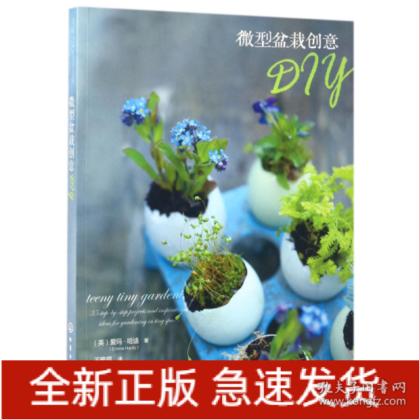 微型盆栽创意DIY