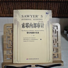 索耶内部审计 现代内部审计实务上册