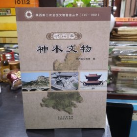 陕西省第三次全国文物普查丛书. 榆林卷. 神木文物 库存新书未阅