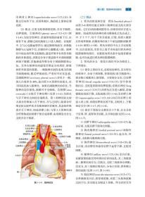 周围神经外科学