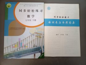 同步轻松练习数学七年级下册