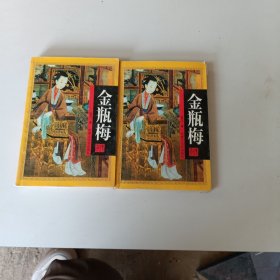 金瓶梅传奇（上下）