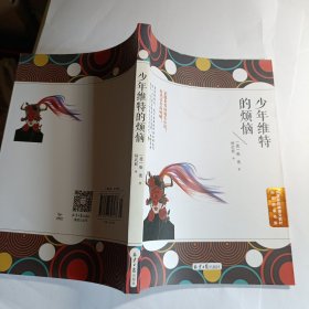 少年维特的烦恼