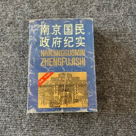 南京国民政府纪实