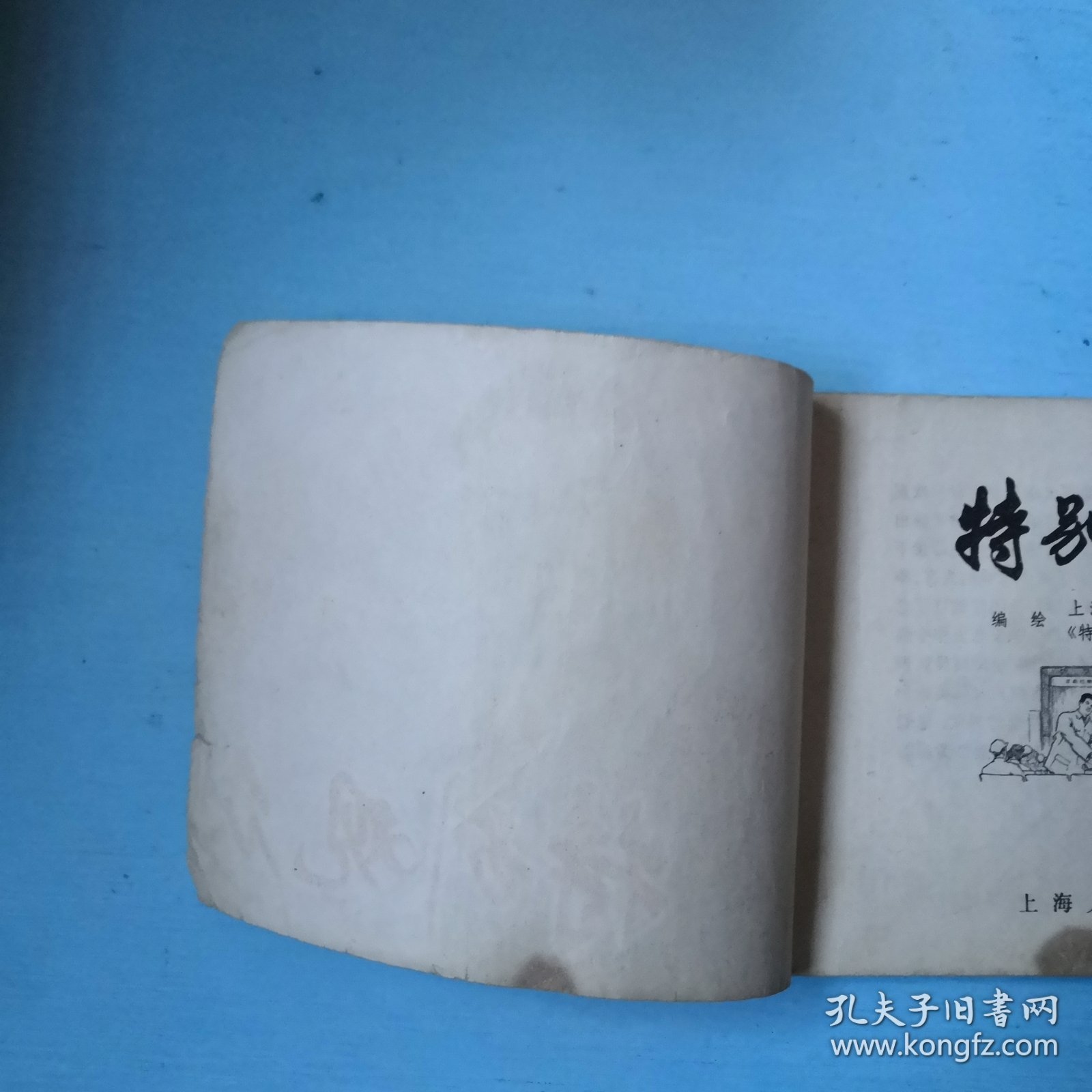 特别观众