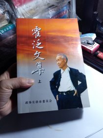 霍泛文集 上下册