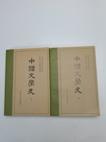 中国文学史（二、三）
