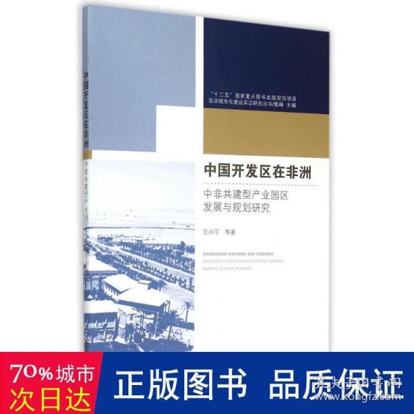 非洲城市化建设实证研究丛书·中国开发区在非洲：中非共建型产业园区发展与规划研究