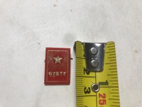 毛主席万岁 红色塑料烫金字长方形像章胸章 1枚（尺寸；2.2*1.6cm ）