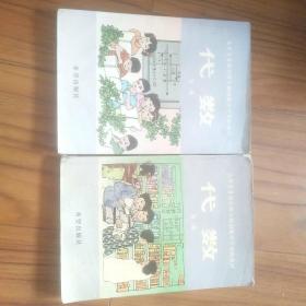 九年义务教育四年制初级中学实验教程 代数 第一册 第二册