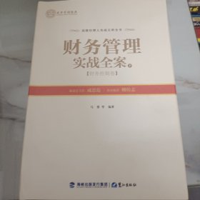 财务管理实战全案（上下册）——财务控制卷
