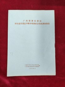 广西壮族自治区田东县作登区平略乡瑶族社会历史调查报告