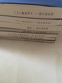 康有为手稿(典藏版 大4开线装 全一函八册 原箱装)