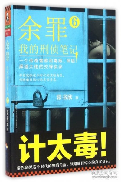 余罪6：我的刑侦笔记