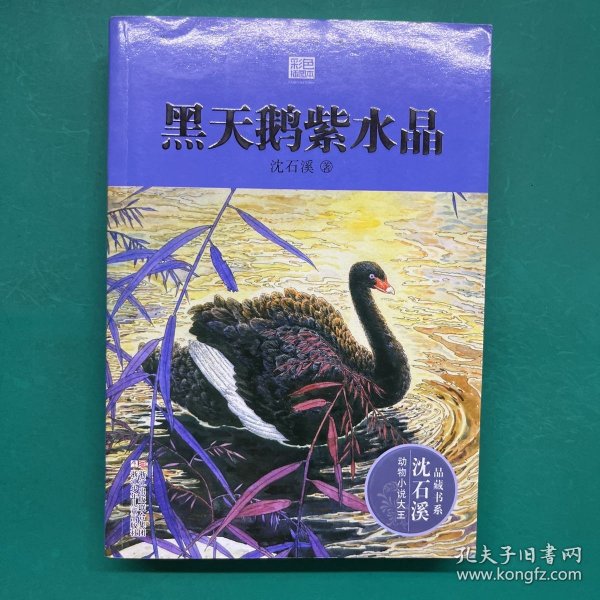 动物小说大王沈石溪·品藏书系：黑天鹅紫水晶