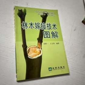 林木嫁接技术图解