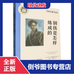 钢铁是怎样炼成的