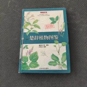 楚辞植物图鉴