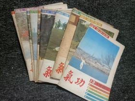 气功 1983(4、5)、1984(1、2、3、4)、1987年(1-12缺6和8、)总16本合售