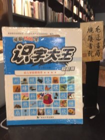 3-6岁识字大王幼儿学前常用字学前1500字（全4册）