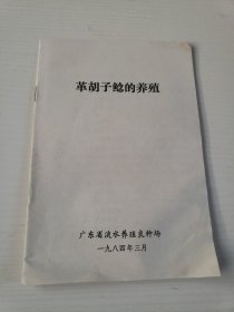 革胡子鲶的养殖