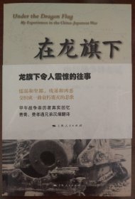 在龙旗下——中日战争目击记
