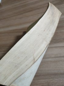 德伯家的苔丝 网格本