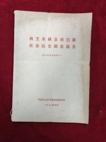 西藏米林县珞巴族社会历史调查报告（珞巴族调查材料之一）