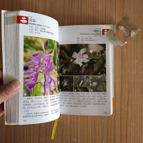 华东野外观花手册