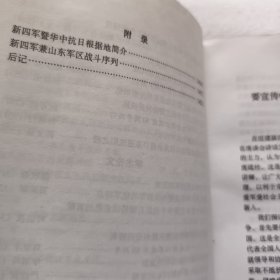 广西新四军历史资料丛书:中流砥柱