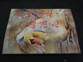 大山深处的浪花