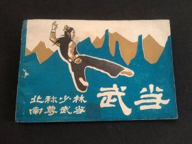 武当 北称少林 南尊武当