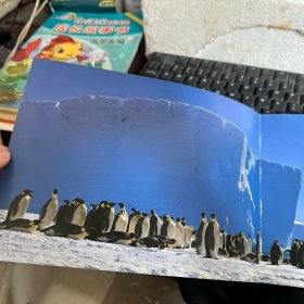 蒲蒲兰绘本馆·亲子摄影绘本：帝企鹅的一家