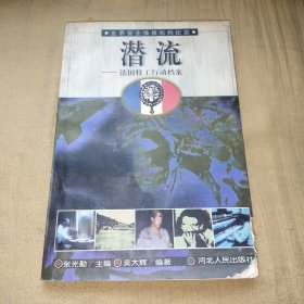 潜流:法国特工行动档案