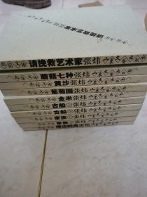 东岳文库 张炜系列 古船上下 家族上下 蘑菇七种 金米 请挽救艺术家 海边的风 黄沙 葡萄园 共10册