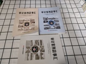 审计案例故事汇第一二三辑共三册