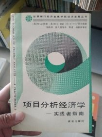 项目分析经济学:实践者指南