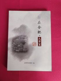 学在合肥.大学篇