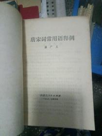 唐宋词常用语释例