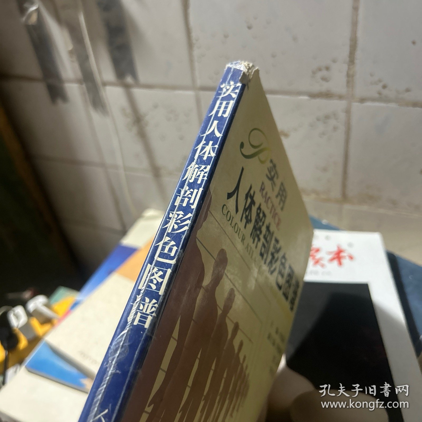 实用人体解剖彩色图谱