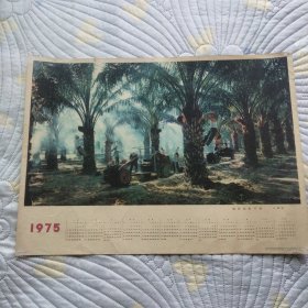 年历画1975《油棕园的早晨》