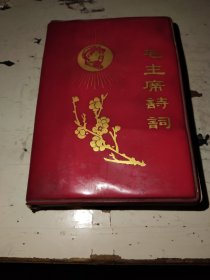 毛主席诗词 梅花 光芒