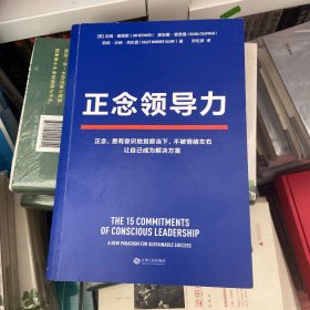 正念领导力（经纬中国创始合伙人邵亦波作序！一本从心出发的领导力之书！）