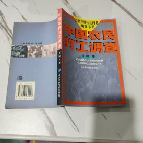 中国农民打工调查 当代中国社会问题调查书系