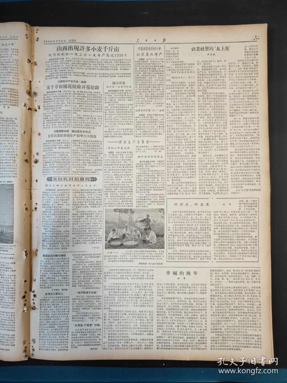 人民日报1956年7月5日