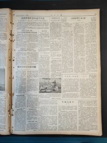 人民日报1956年7月5日