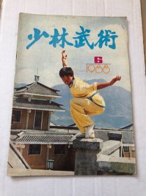 少林武术1988年第6期，里面有少林铁板脚的练法，非常详细的擒拿与反擒拿，擒腕擒臂擒摔的破解等，非常实用，经典！