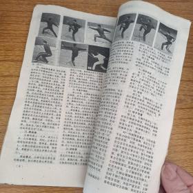 终南派形意拳